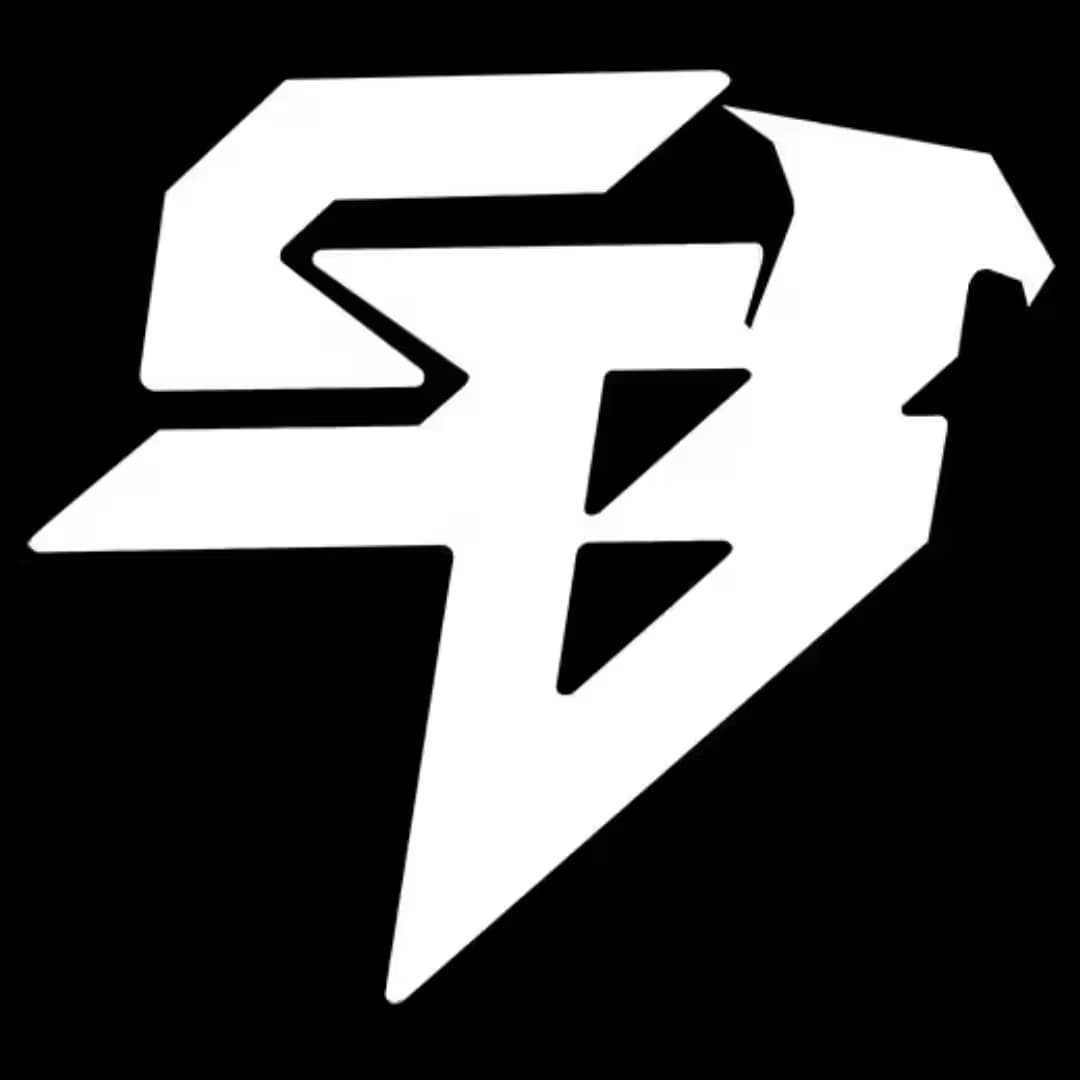 Steelbird Hi-Tech India